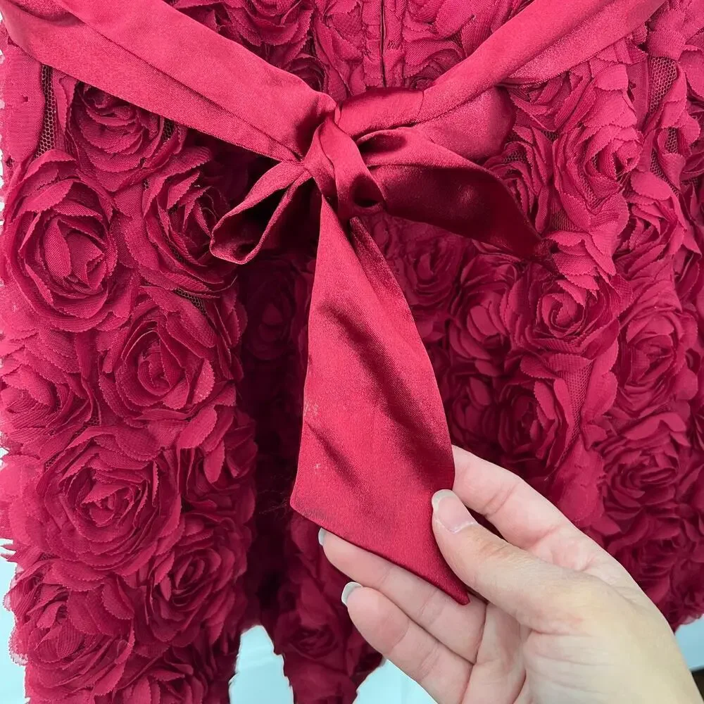 Biscotti Collzioni Standing Ovation Red Floral Fancy Lined Dress - 24 months